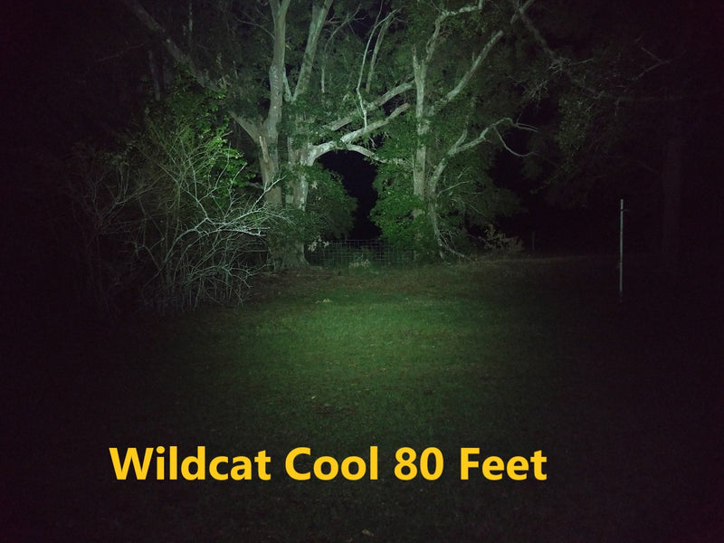 Wildcat 21700 Flashlight