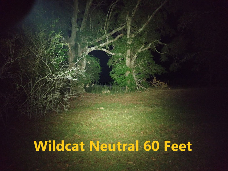 Wildcat 21700 Flashlight