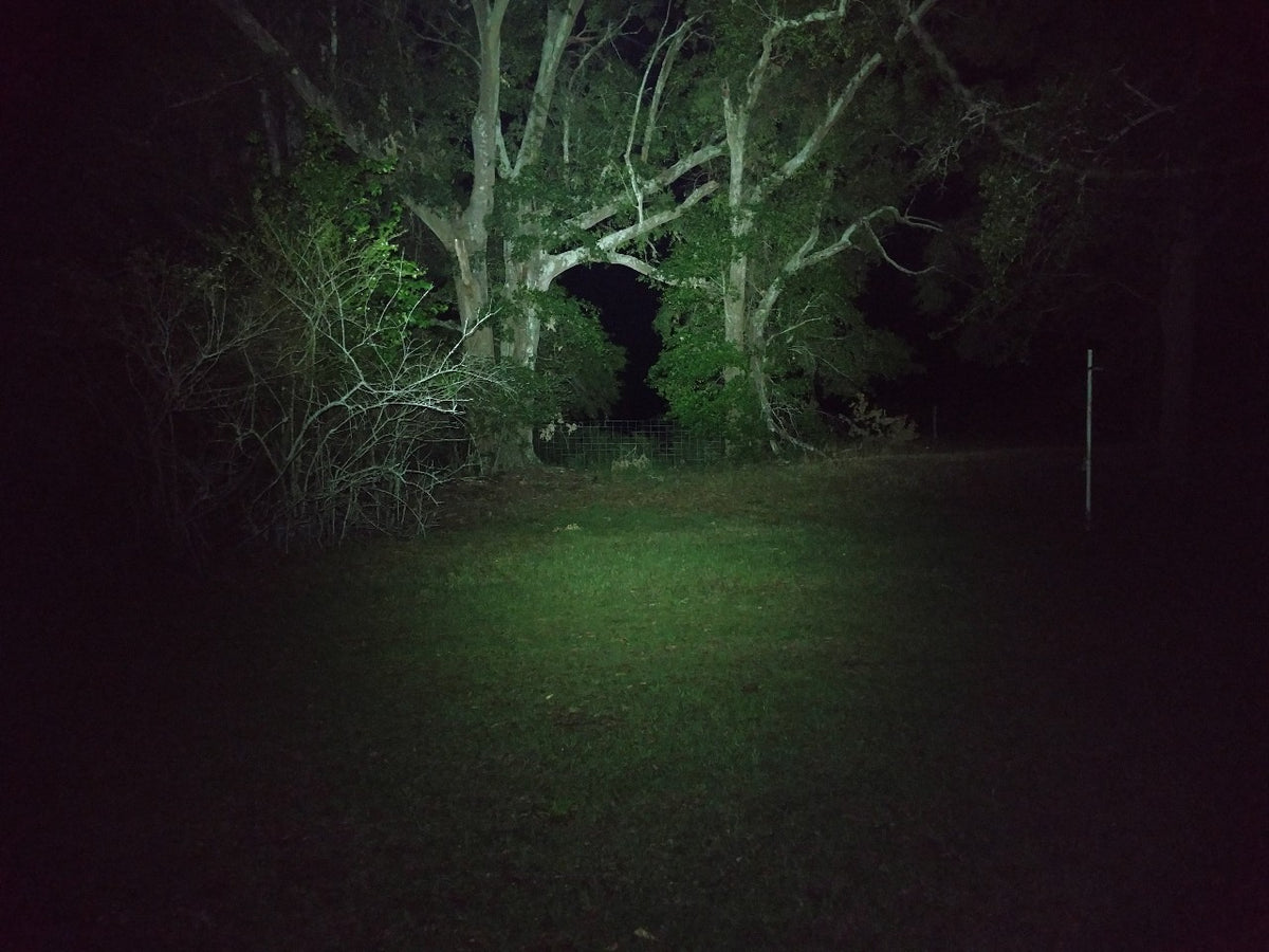 マグライト Wildcat XPL Flashlight – Malkoff Devices